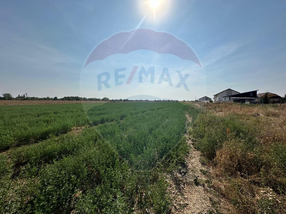 Land 450sqm Arad / Strada Lavandei