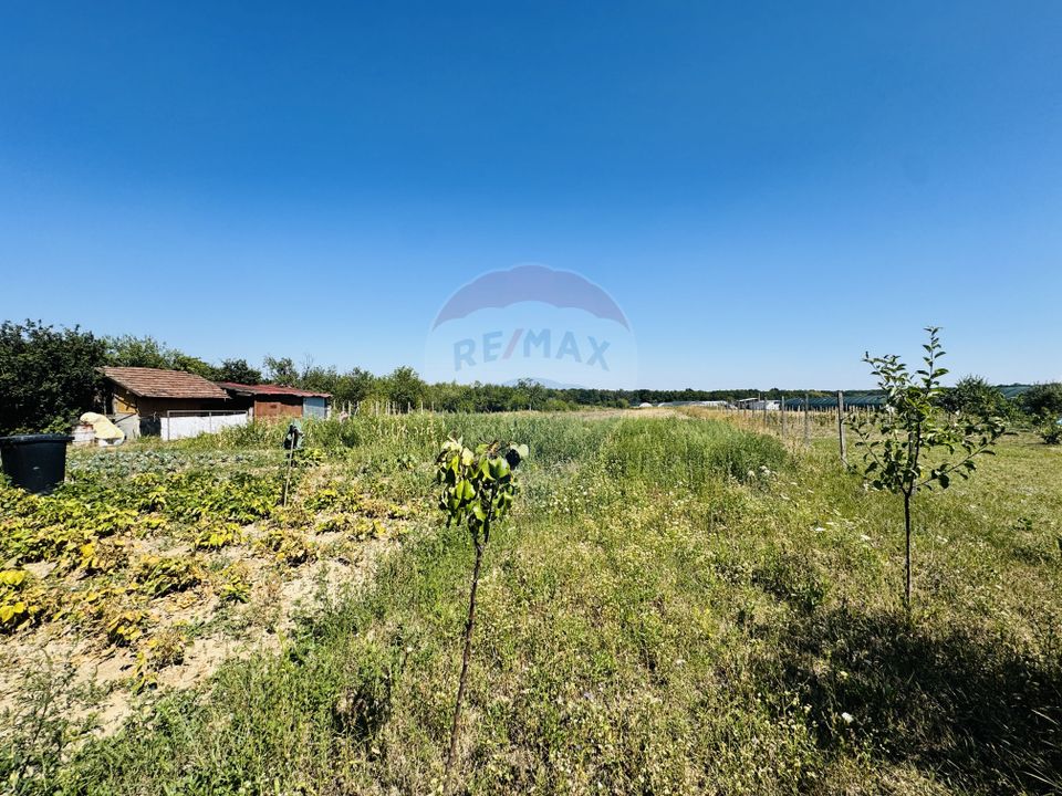 Teren 6,210mp Apateu / Strada Principala