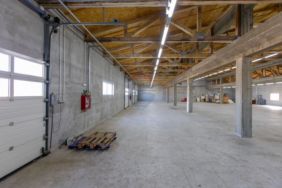 Hală 1.000 mp + curte 3.200 mp + CASĂ 160 mp BONUS | Acces TIR | Bacău