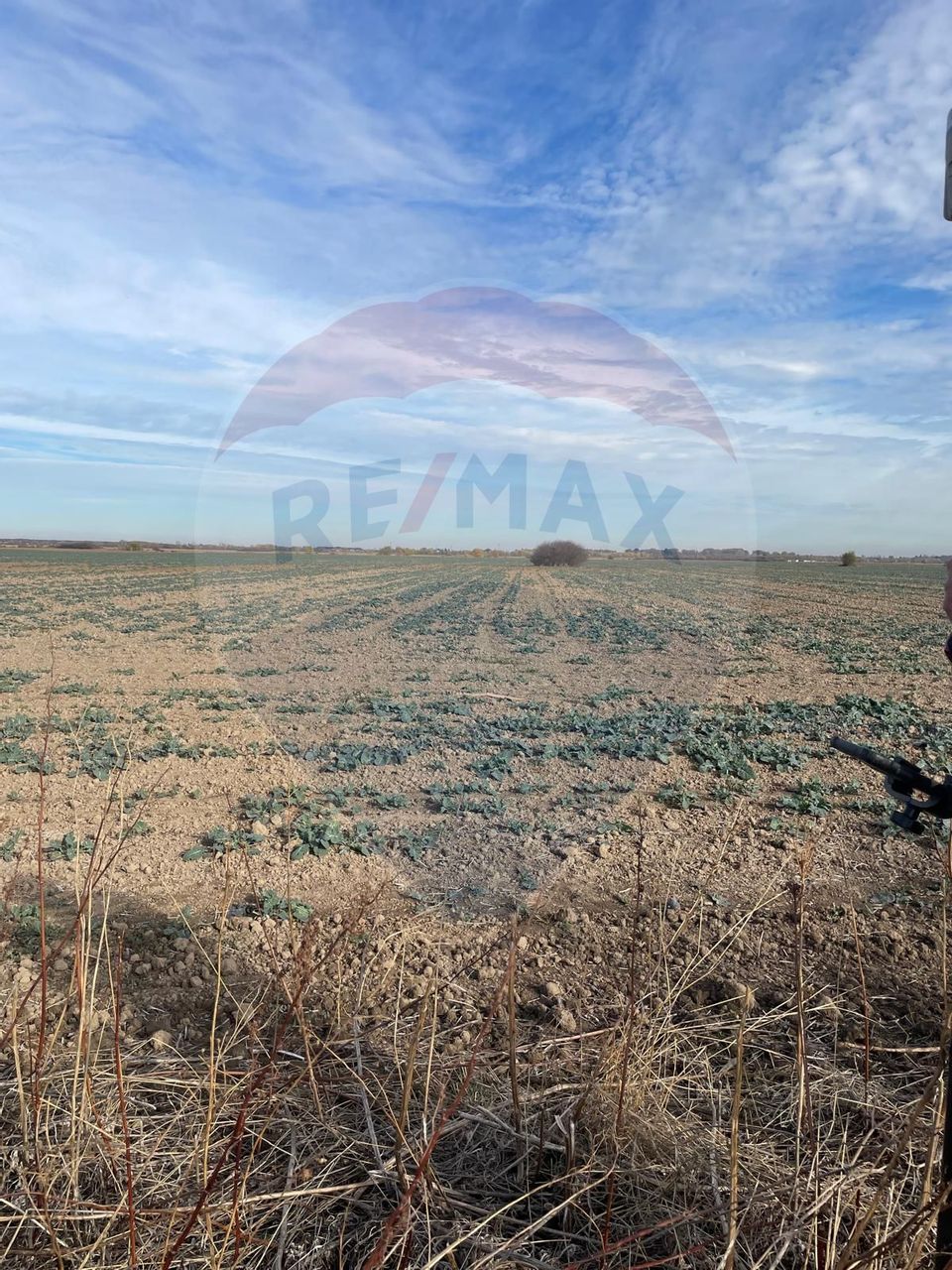 Land 66,667sqm Ulmi / Drumul DC147