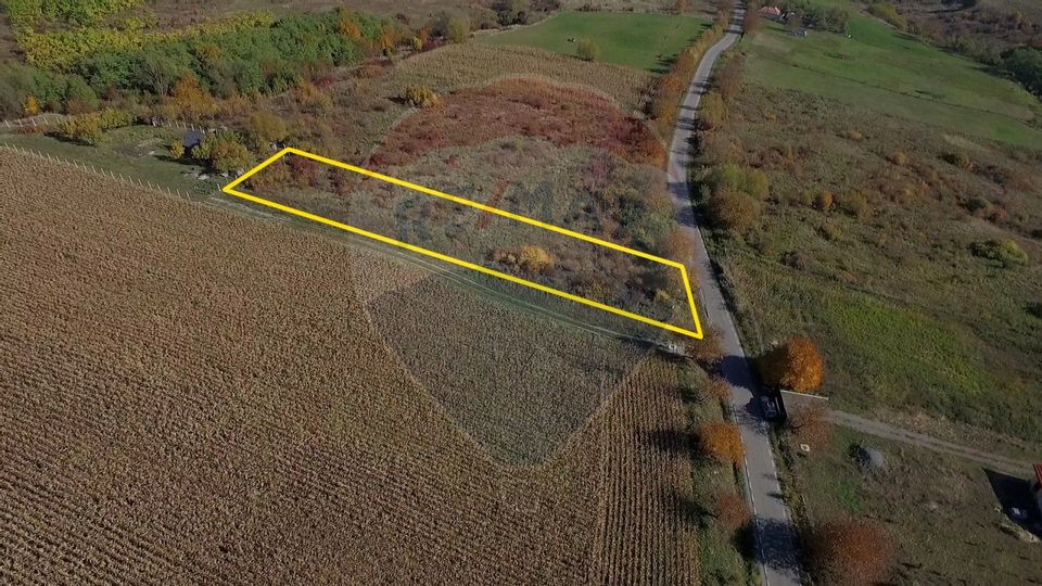 Land 2,556sqm Padureni (Chinteni) / Drumul DC147