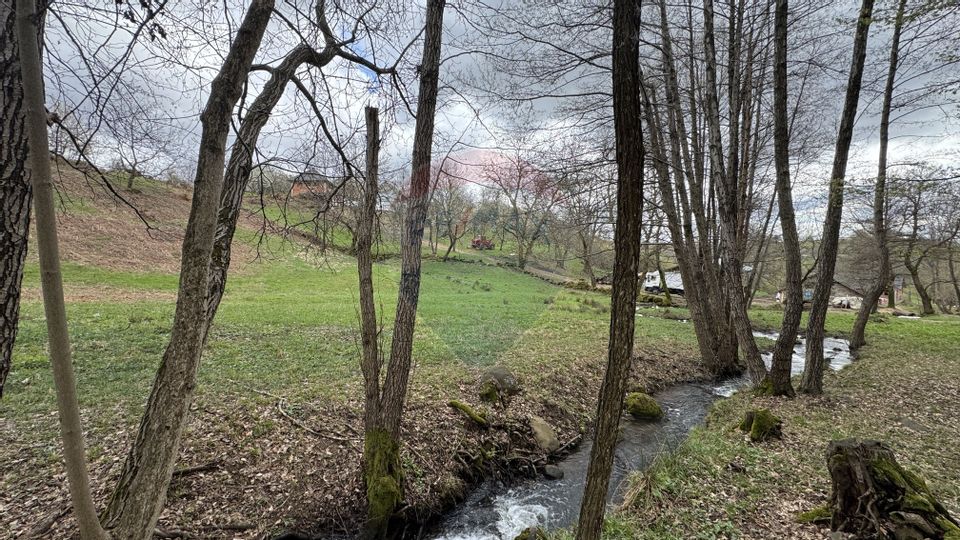 Teren de vanzare ideal pentru CABANA-cu un pârau ce traveseazǎ terenul