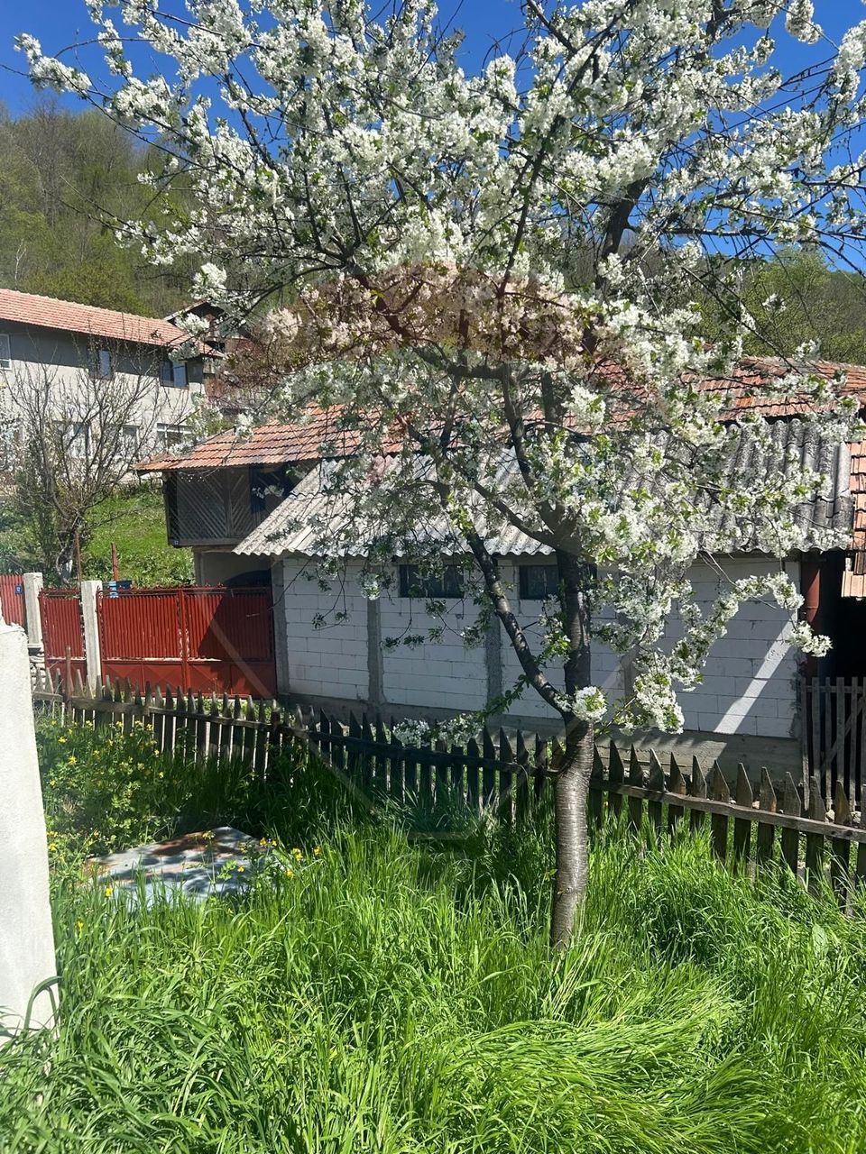 Casa bunicilor, cu gradina, Lera, Buzau!