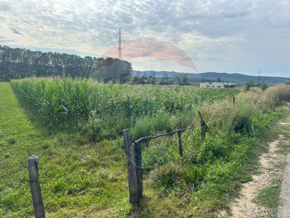 Teren de vânzare – Valea Bradului, oportunitate de investiție!