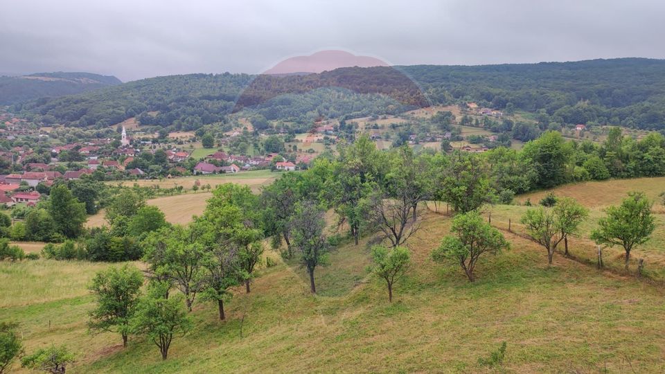 Casă de vacanta cu 6 camere de vanzare Suncuius