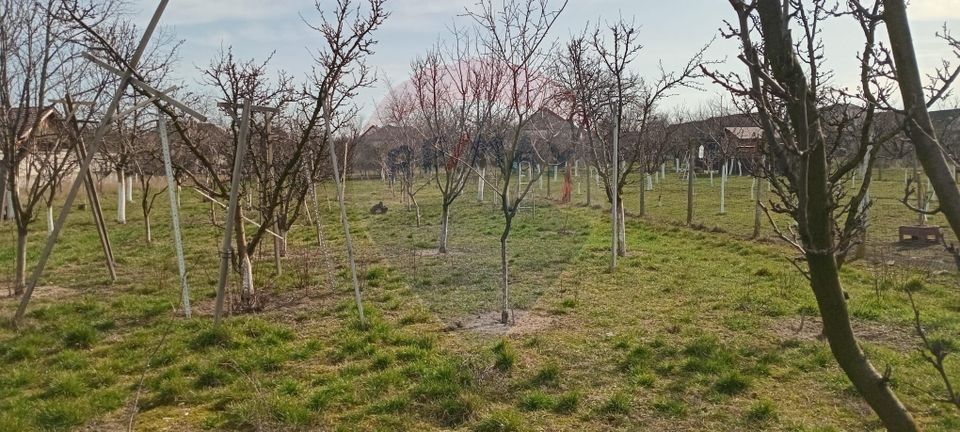 Land 2,954sqm Vladimirescu / Strada Stefan cel Mare