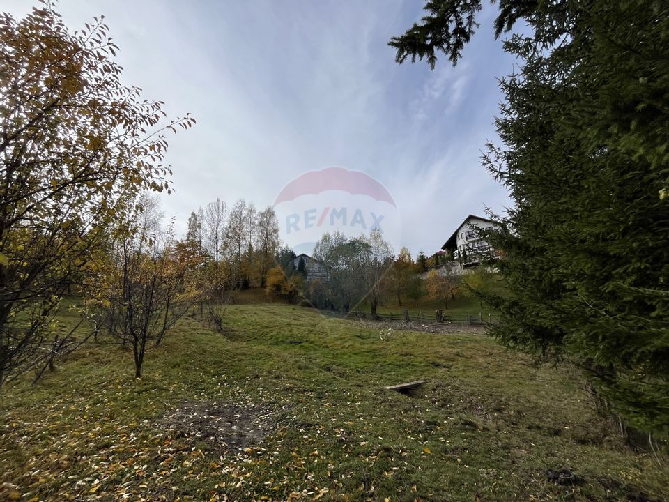 Teren de Vis în Bran – 1000mp Plat, Liniște Absolută și Aer Curat