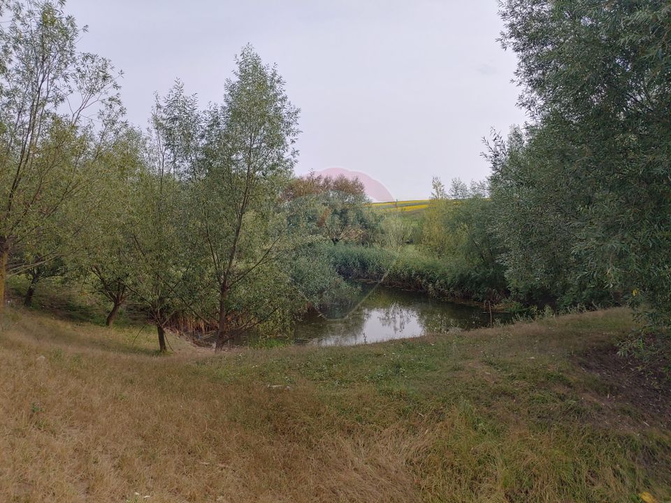 Teren parțial intravilan-300000mp Stroiești-Trei Movile, Suceava