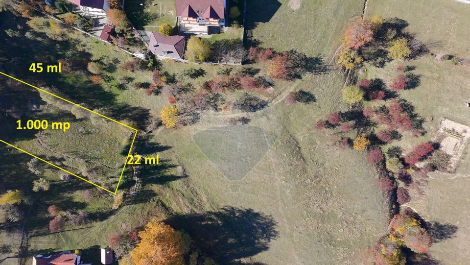 Teren de Vis în Bran – 1000mp Plat, Liniște Absolută și Aer Curat