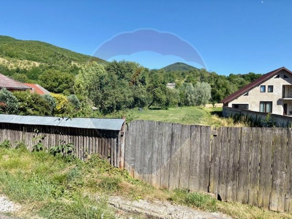 Land 3,154sqm Barsana / Intrarea principala