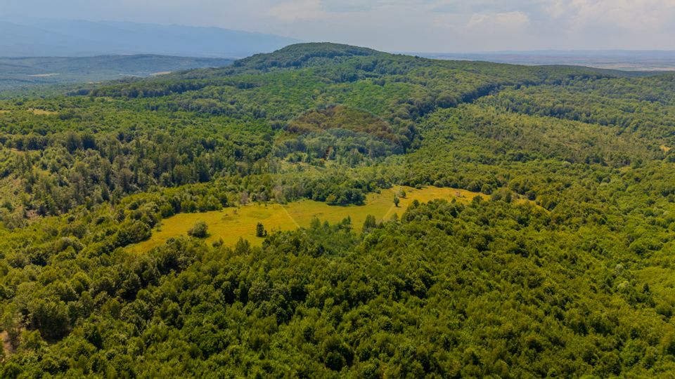 COMISION 0% Teren Grid/Inima Naturii/ Oportunitate de investiție