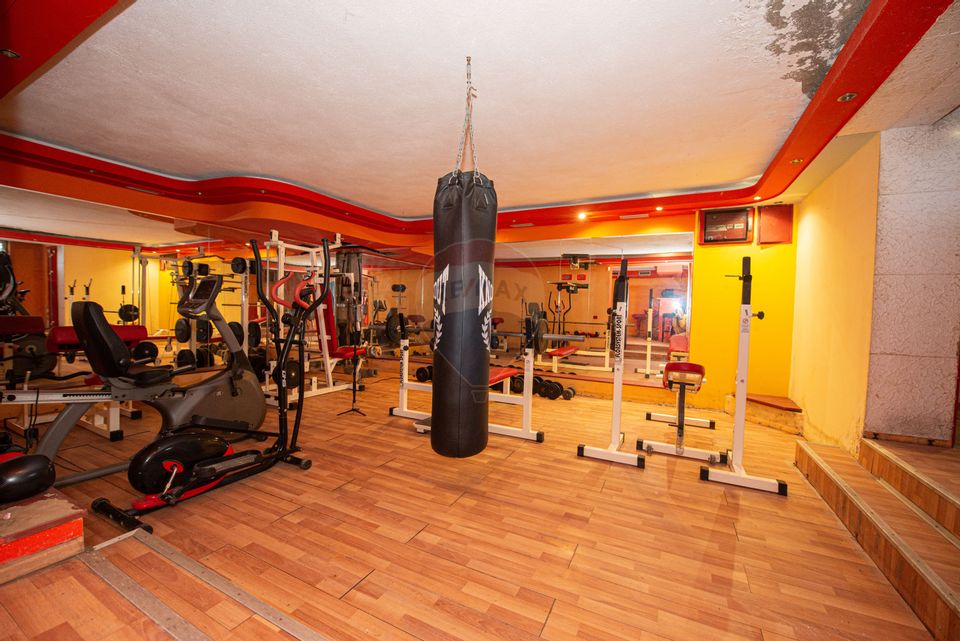 Casa 9 camere de vanzare 1200mp teren Cornetu Padure Lac Mihailesti