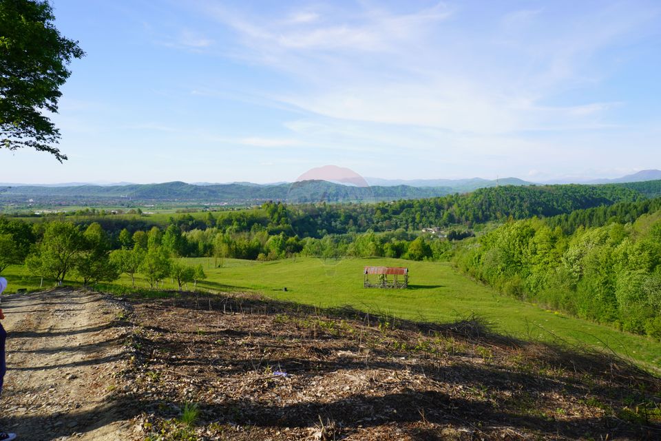 Land 15,000sqm Sighetu Marmatiei / Strada Mocăniței