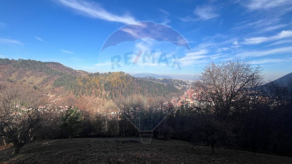 Teren Colinar Panoramic – 17.684 mp în Scheii Brașovului