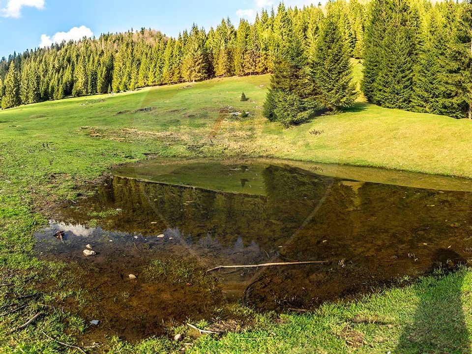 Cabana turistica Platoul Glavoi Pietroasa Padis-Cetatile Ponorului