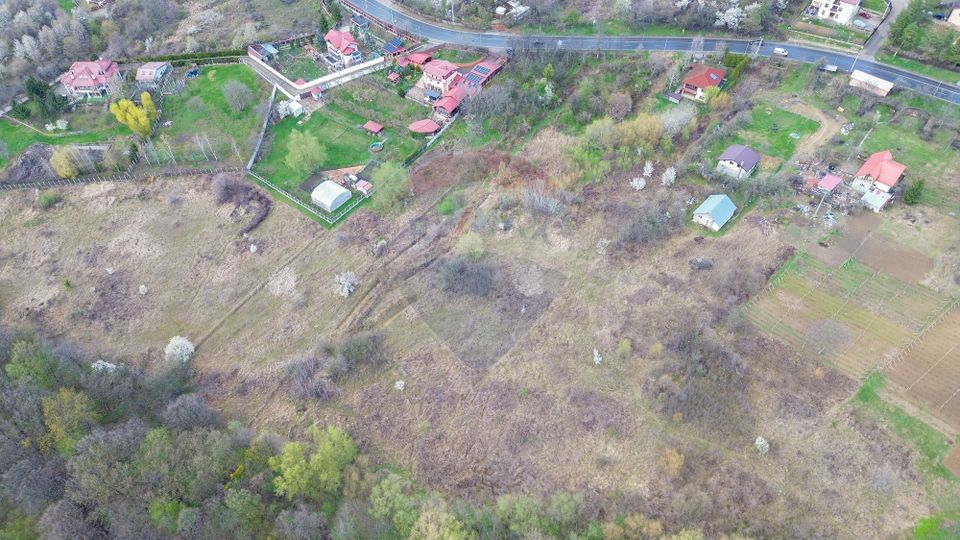 Teren Soseaua Bucium 5006 mp Intravilan - PUZ Aprobat - 6 Loturi