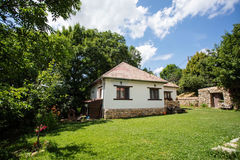 Casa + casa de oaspeti de vanzare in Feleacu