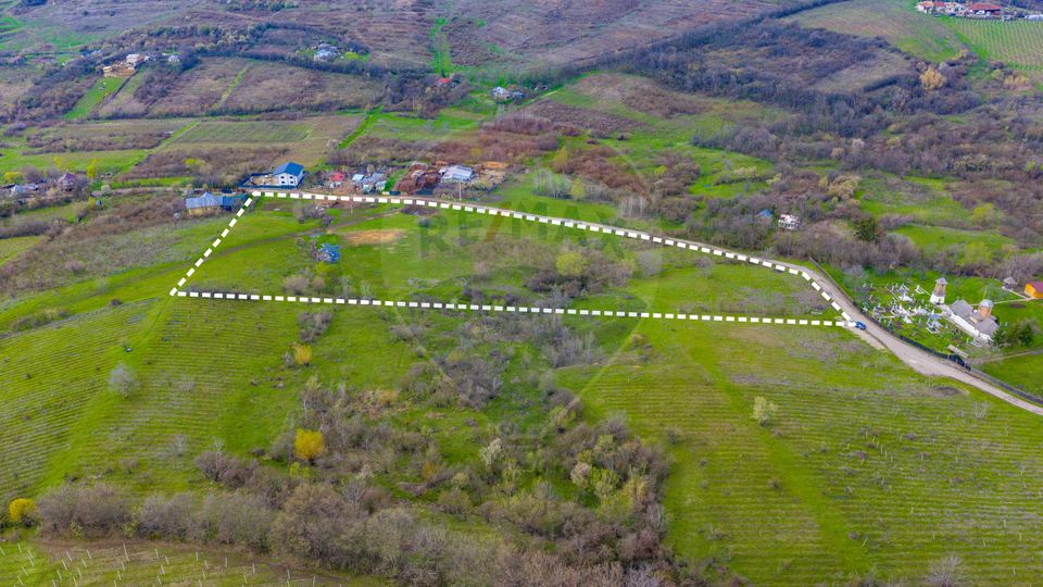 Teren 33.500 mp-Valea Orlei, Prahova/ COMISION 0%