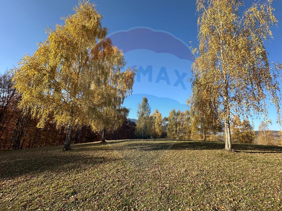 Investment opportunity ! Dream land in Pestera - 125,370 sqm