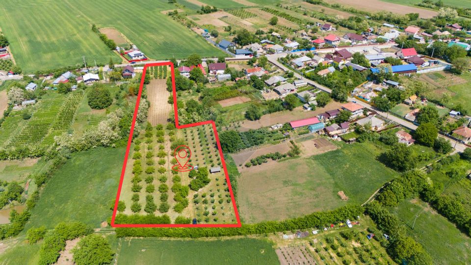 Land 6,571sqm Negresti / Strada Casa Apelor