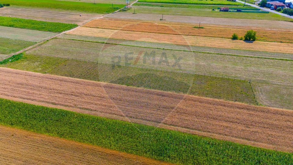 TEREN extravilan- 6 E/MP- CU PLANTATIE DE TRANDAFIRI! Teliu 7000mp