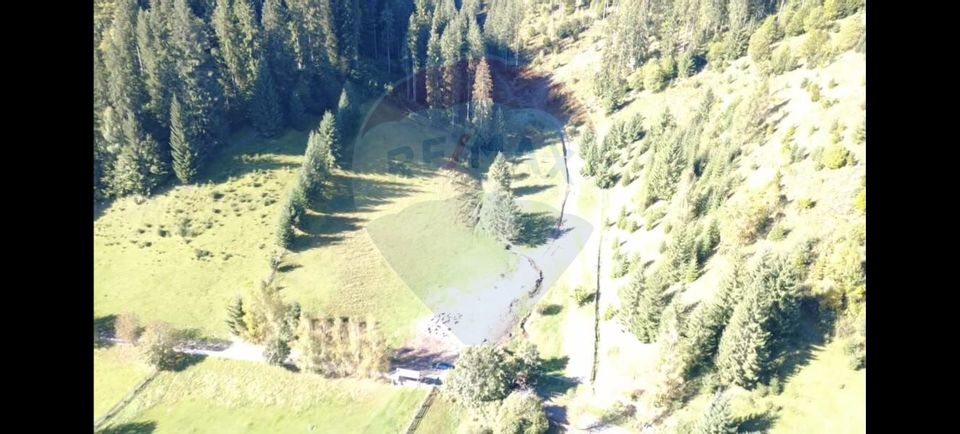 Teren 9555mp, din care 6120m.intravilan Vatra Dornei.