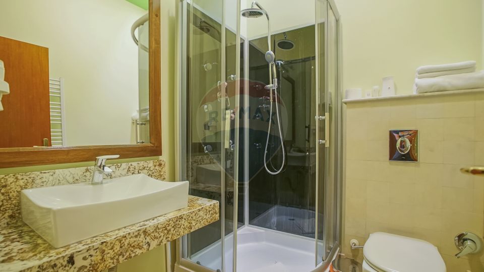 Pensiune cu vechime și prestigiu, Centrul Istoric