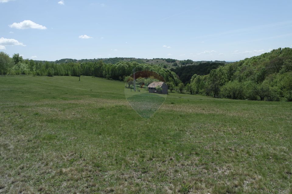 TEREN DE VÂNZARE ÎN PRELUCA NOUA