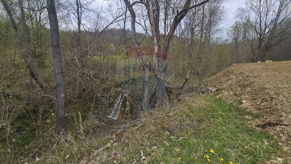 Land 2,910sqm Chiriteni / DN 15