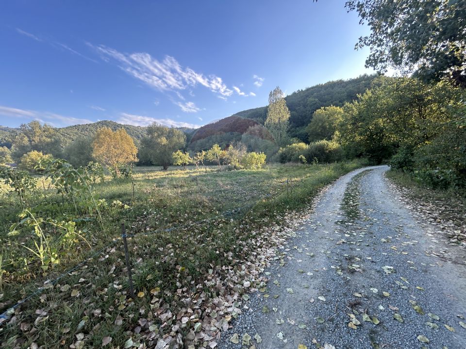 DE VÂNZARE- Teren  intravilan-Copalnic Mănăștur