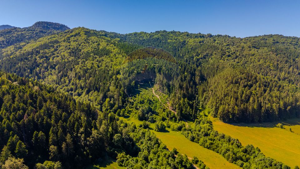 Land 13,300sqm Sacele / Soseaua Valea Doftanei