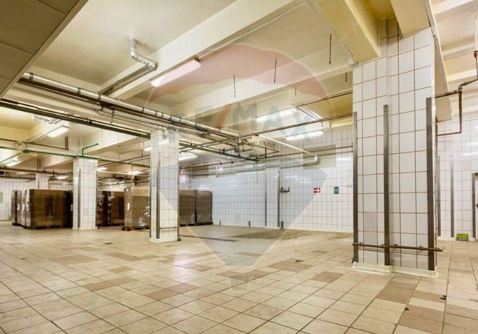 Fabrica de preparate si conserve din carne  la Medias