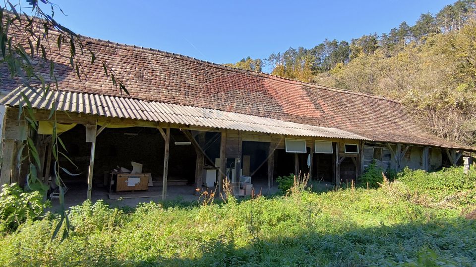 3 room House / Villa for sale