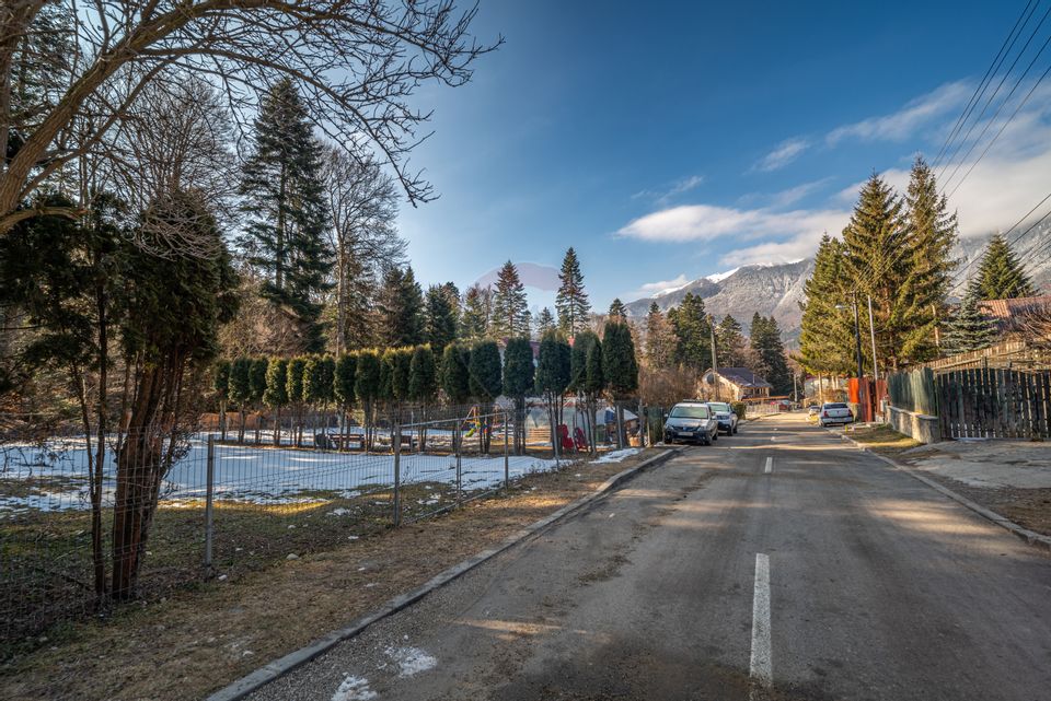 Teren intravilan de 500 mp în Bușteni | Strada Primaverii