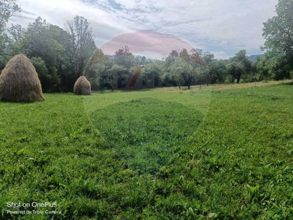 3 room House / Villa for sale