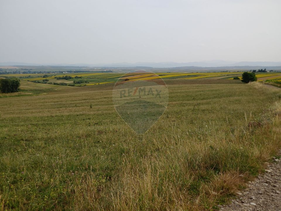 Teren parțial intravilan-300000mp Stroiești-Trei Movile, Suceava