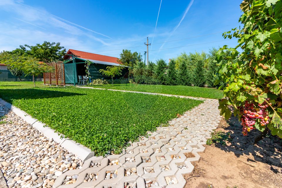 Casa de vanzare cu teren 1500mp Snagov / Padure si lac la cativa pasi