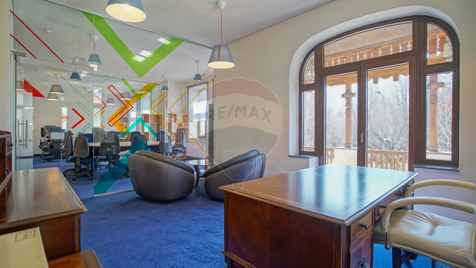 RENTED !! Representative offices, head office, Nicolae Iorga Street