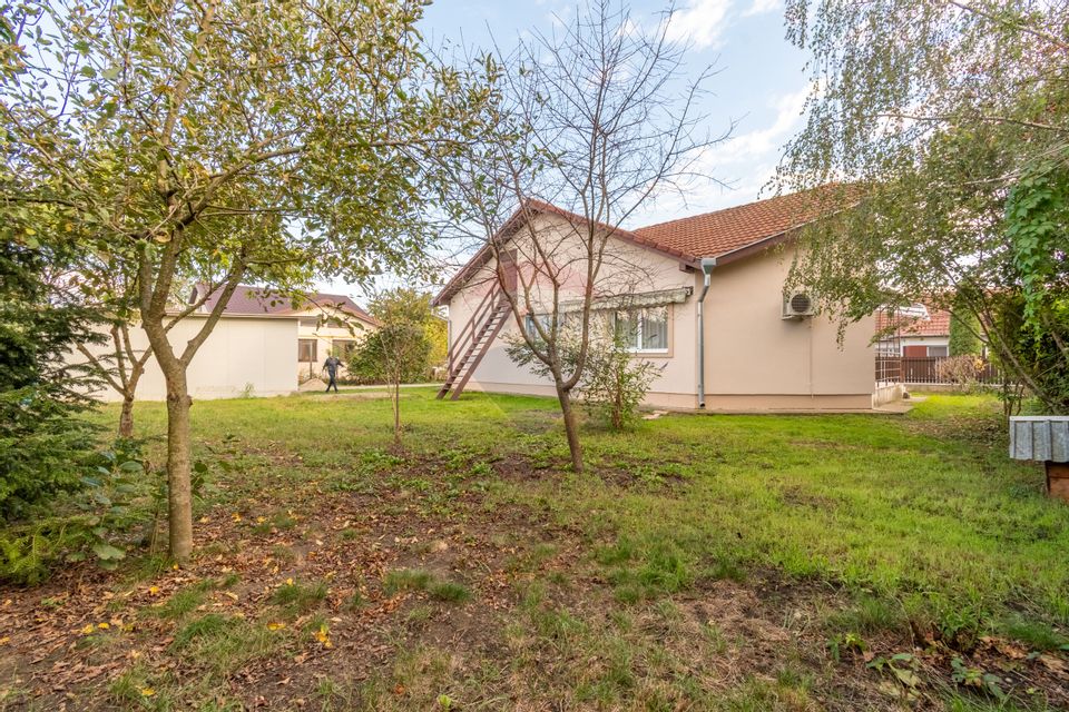 Casa individuala de vanzare 100mp, 600mp teren, garaj, zona Panemar