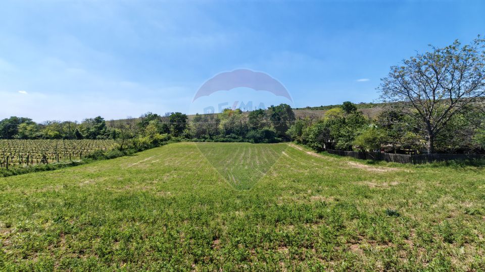 Land 3,864sqm Urlati / Strada Valea Seman