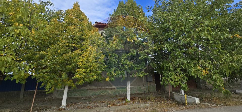 Teren si casă cu teren generos în Socodor