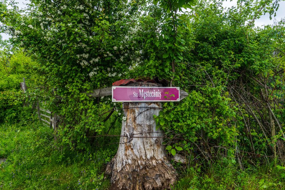 Teren Bran -Sohodol, Strada La mesteceni, 6900mp
