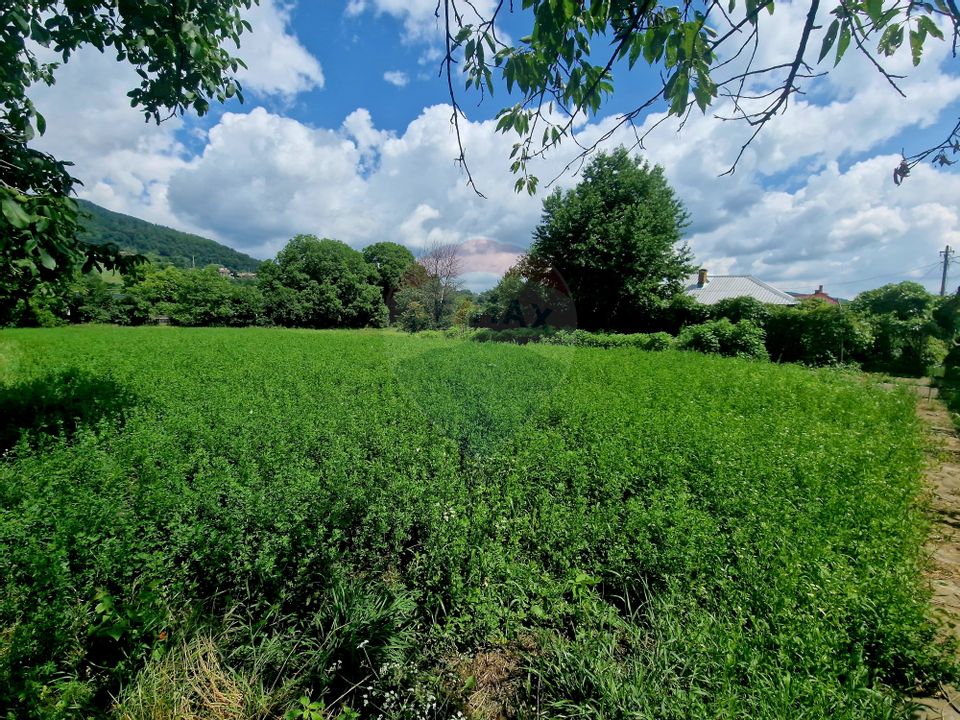 Teren intravilan 1000 mp – Viișoara, utilități