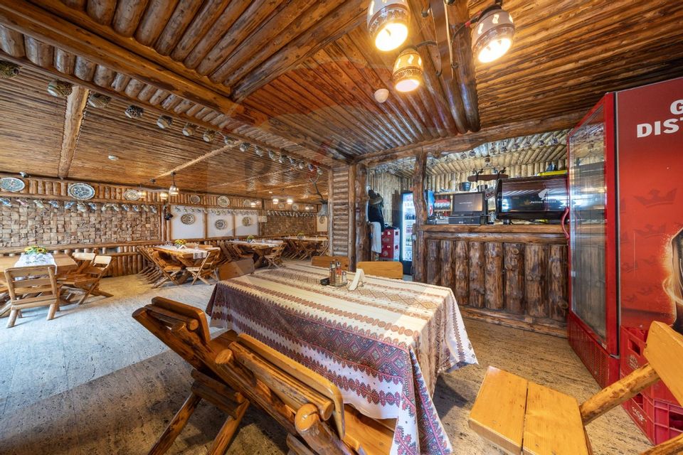 21 room Hotel / Pension for sale, Ultracentral area