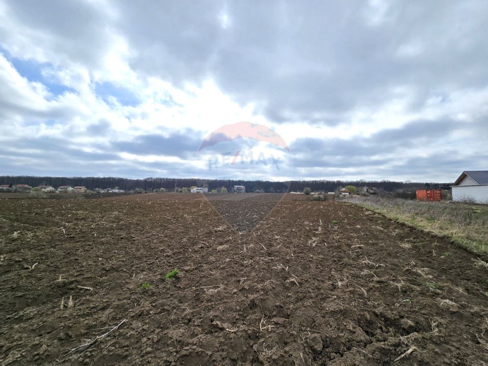 Vladiceasca - Snagov, teren excelent dezvoltare imobiliara