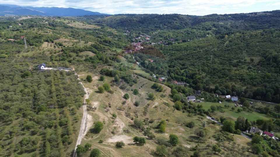 Land 33,598sqm Campulung-Muscel / Strada Colonel Alexandrescu