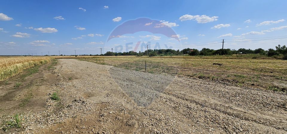 Vânzăm loturi de teren intravilan în Frumusani