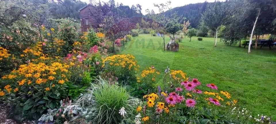 2 room House / Villa for rent