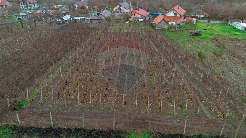 Casă de Om Gospodar - Costuleni - Grădină 2093 mp -0% Comision 0% TVA