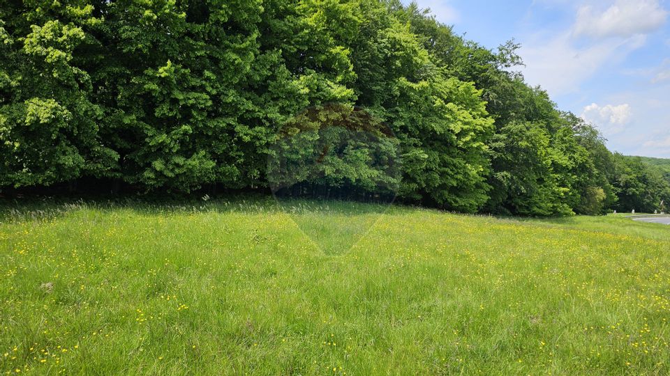 Teren Ilisesti  7000mp extravilan/ DN 17, Suceava